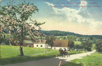 NÖ: Gruß vom Steinriegel ( Post St. Andrä Wördern ) Weidlingers Restaurant 1914