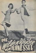 4042: Die wilden Weiber von Tennessee ( Kissin Cousins )  Elvis Presley, Arthur O´ Connel, Glenda Farrel, Yvonne Craig, 