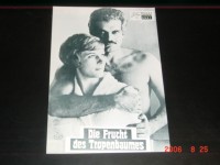 6961: Die Frucht des Tropenbaumes, Omar Sharif, Julie Andrews,