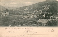 NÖ: Gruß aus Payerbach 1899  bei Semmering,  Häuseransicht,